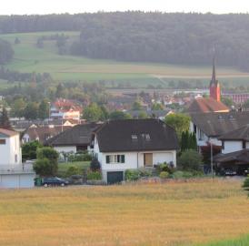 Waltenschwil sucht Zimmer für Asylbewerber