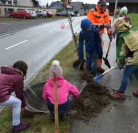 Beinwil: Viele Bäume gepflanzt