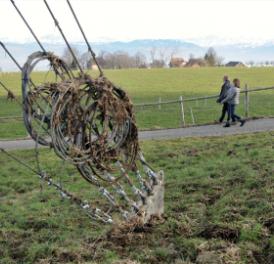 Infos zum Windpark Lindenberg