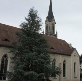 Neujahrskonzert in Villmergen
