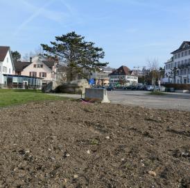 Umfrage: Soll das Wohler Isler-Areal überbaut werden?
