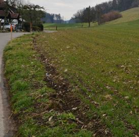 Letzte Etappe wird umgesetzt