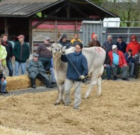 Boswil: Weiterbildung zu Tiertransporten