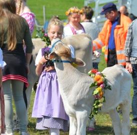 Horba bei Prachtwetter auf dem Horben