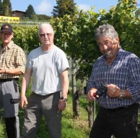Bremgarter «Stadtberger» wurde gelesen