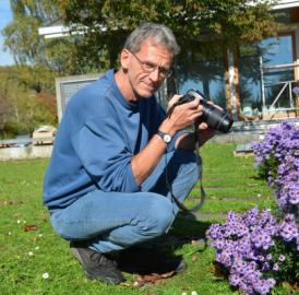 Biodiversität am Maiengrün