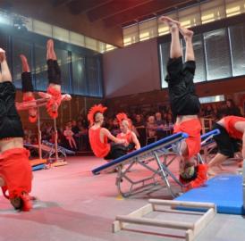 Niederwil: Dieses Jahr gibt es keine Turnshow