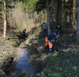 Waldarbeitstag in Uezwil