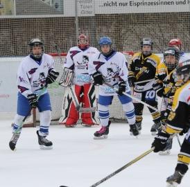Eishockey: Moskitoturnier in Wohlen