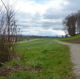 Deponie zwischen Boswil und Kallern geplant