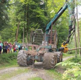 Oberwil-Lieli: Ungetüme im Wald