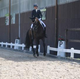 Reitsport: Erfolgreiche Dressurtage Fohlenweid