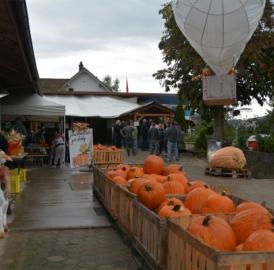 «Chörbismärt» in Nesselnbach