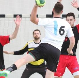 Handball: Freiämter im Einsatz