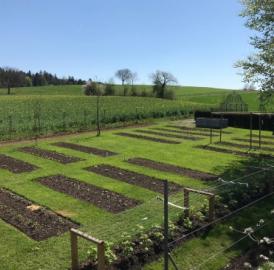 Offener Bio-Garten in Berikon
