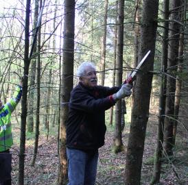 Büttiker halfen im Wald