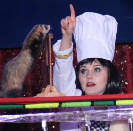 Widen: Der Circus Olympia kommt
