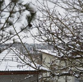 Umfrage: Freuen Sie sich über den Schnee?