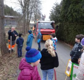 Waltenschwil: Igel-Aktion einer Schulklasse