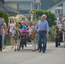 Esel versüssen den Schulstart