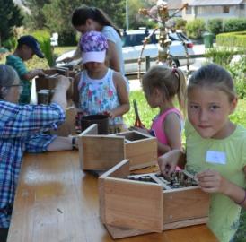 Berikon: Nisthilfen für Wildbienen