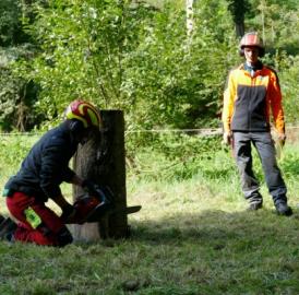 Waldumgang in Nesselnbach
