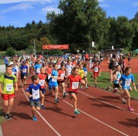 Laufen: Herbstlauf in Muri