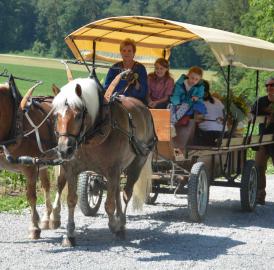 Klimawandel im Forst