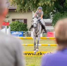 Wohlen: Springkonkurrenz mit 1600 Fans