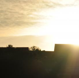 Im besten Licht