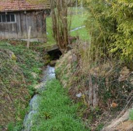Oberwil-Lieli: Dorfbach sanieren