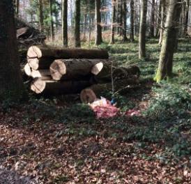 Muri: Schlachtabfall im Wald