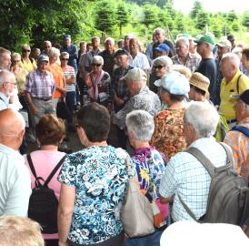 Wohler Senioren am Waldumgang