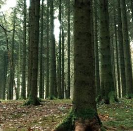 Vollmondkino in Berikon