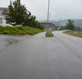 Themen der Waltenschwiler «Gmeind»