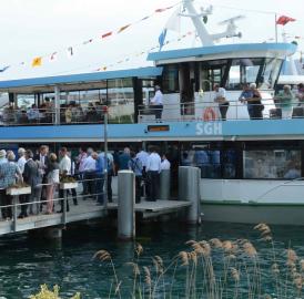 Delphin schwimmt auf dem See