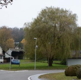 Ja zum «Zentrum Widen»