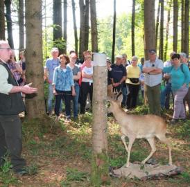 Grosses Interesse am Wald