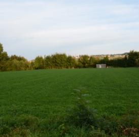 Rudolfstetten: Info zur Isleren