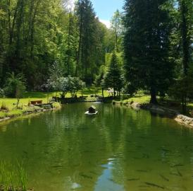 Musik im Paradies zum Zweiten