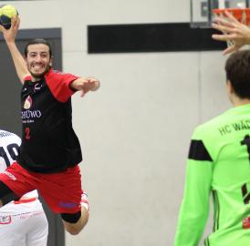 Handball: Wohlen gegen Uster