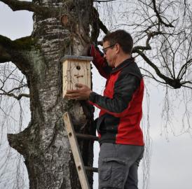 40 Vogelhäuschen für Dottikon