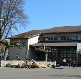 Wohlen: Schulraum-Vorlage bereit