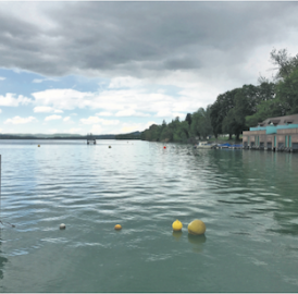 Trinkwasser aus dem Hallwilersee?