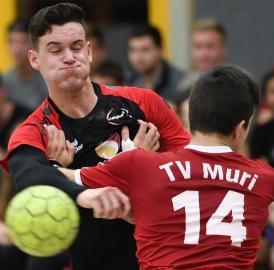 Handball Wohlen in Zürich