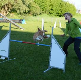 Neuer Hundeverein in Wohlen