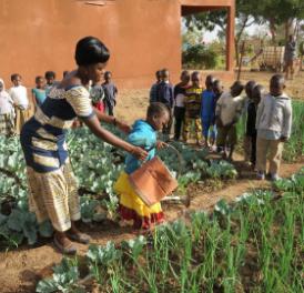 Boswil: Neues aus Burkina Faso