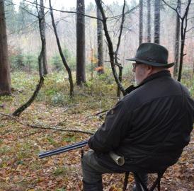 Reportage von der Jagd in Boswil