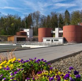 Thema «Phosphor» angehen
