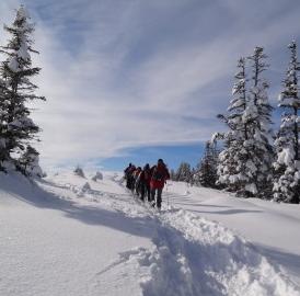 Schneeschuh-Touren der Naturfreunde